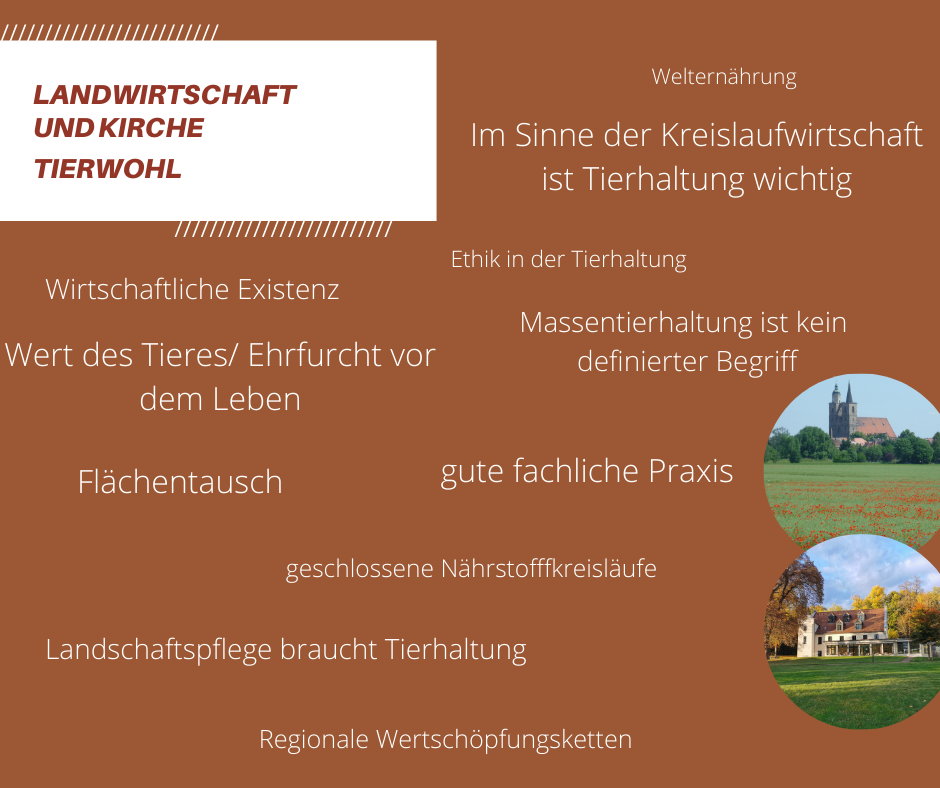 Wortwolke Landwirtschaft und Kirche Tierwohl